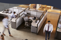 Gestión del cambio en las organizaciones